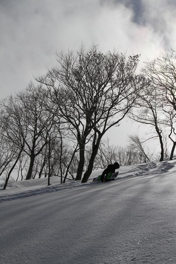 Powder Temple Hotel Hakuba Ngoại thất bức ảnh